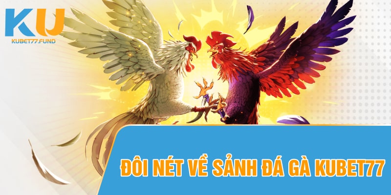 Đôi bàn về sảnh đá gà Kubet77